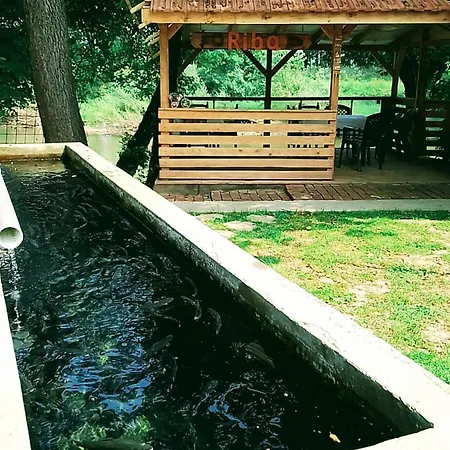 Appartement Riverside